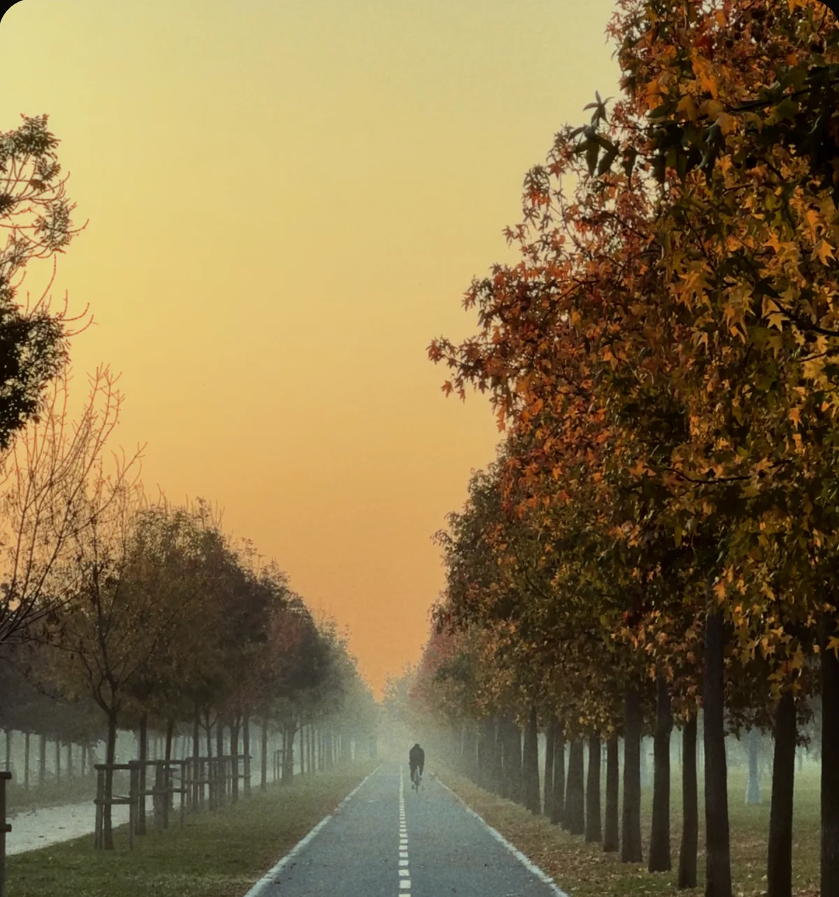The same road with 250D