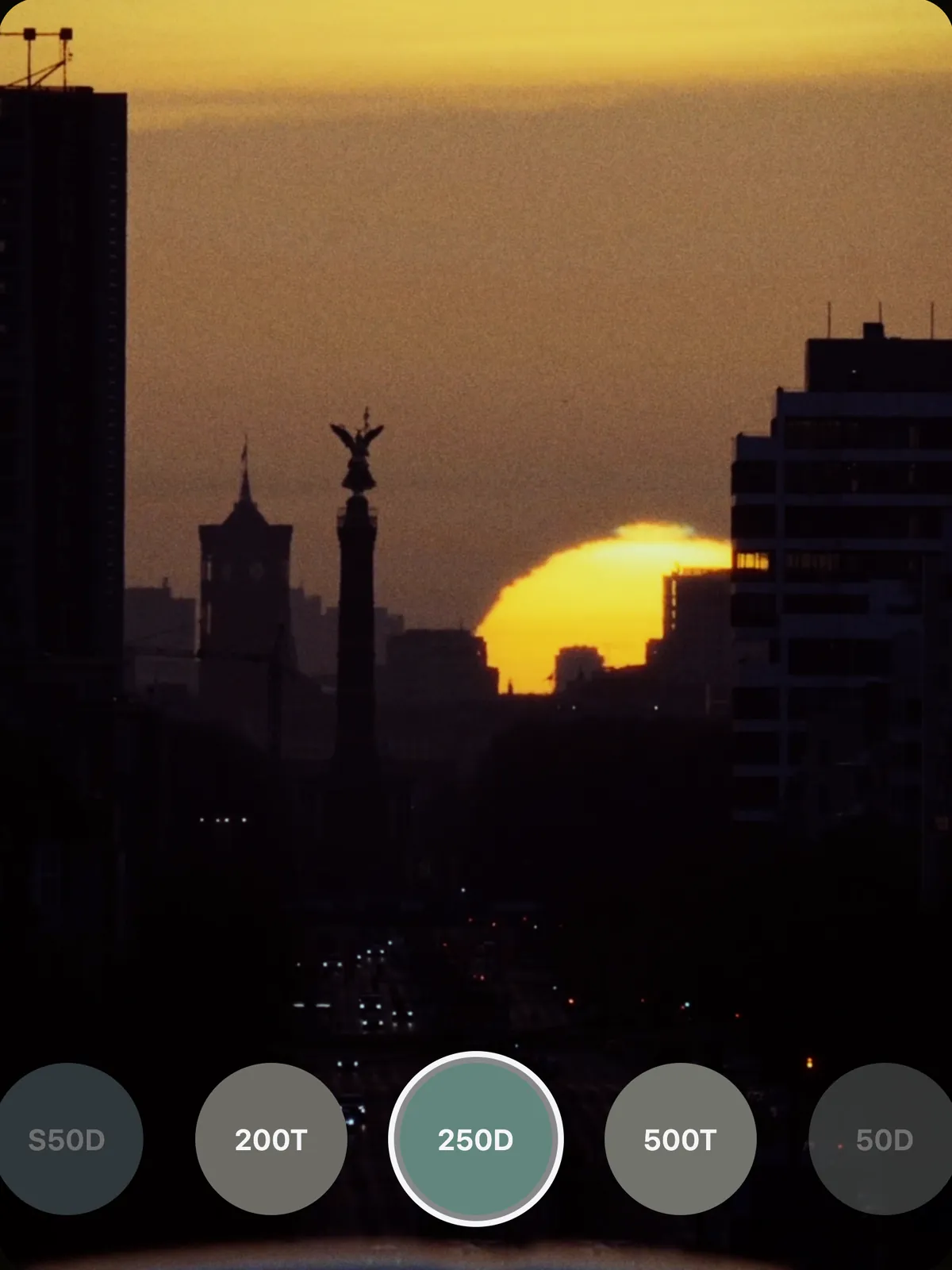 The same sunset through 250D: deeper gold and full blacks