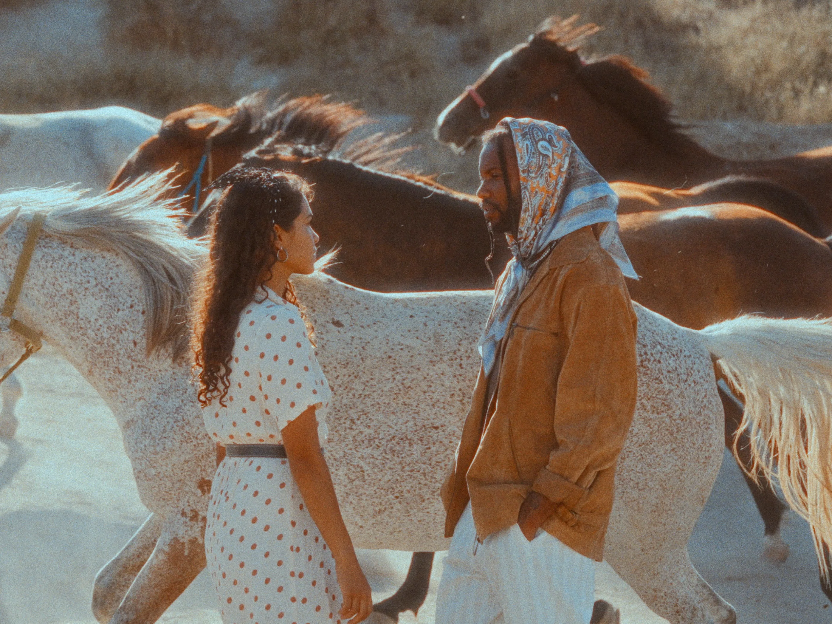 RealColor Preset sample